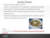 Sriubų gamybos technologijos  15 puslapis