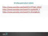 Sriubų gamybos technologijos  16 puslapis