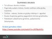 Sriubų gamybos technologijos  17 puslapis