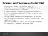 Sriubų gamybos technologijos  19 puslapis