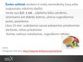 Sriubų gamybos technologijos  7 puslapis