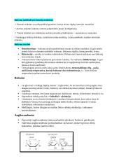 Maisto biochemijos konspektas 3 puslapis