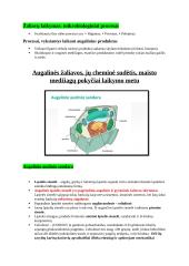Maisto biochemijos konspektas 5 puslapis