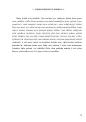 Verslo komunikacijos su Indija ypatumai 17 puslapis