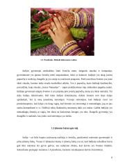 Verslo komunikacijos su Indija ypatumai 7 puslapis