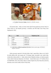 Verslo komunikacijos su Indija ypatumai 8 puslapis