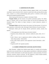 Miško ūkio ekonomikos ir valdymo kursinis darbas 13 puslapis