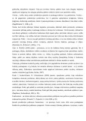 UAB ,,Befab“ apskaita ir auditas 9 puslapis