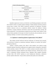 UAB ,,Befab“ apskaita ir auditas 16 puslapis