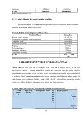 UAB ,,Befab“ apskaita ir auditas 19 puslapis