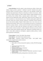 UAB ,,Befab“ apskaita ir auditas 4 puslapis