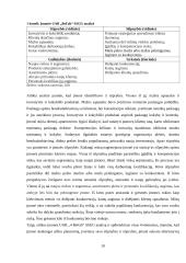 UAB ,,Befab“ apskaita ir auditas 8 puslapis