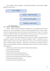 Transporto įmonės ir jos veiklos ekonominė analizė 11 puslapis