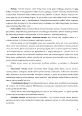 Transporto įmonės ir jos veiklos ekonominė analizė 5 puslapis