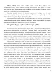 Transporto įmonės ir jos veiklos ekonominė analizė 6 puslapis