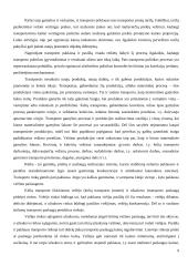 Transporto įmonės ir jos veiklos ekonominė analizė 8 puslapis