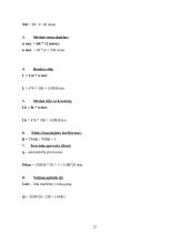 UAB ,,BIFAST“ verslo planas 11 puslapis