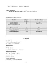 UAB ,,BIFAST“ verslo planas 16 puslapis