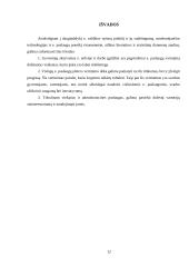 Viešųjų e. Paslaugų plėtros vertinimas Lietuvoje 10 puslapis