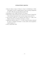 GPS technologija ir naudojimas transporto srityje 10 puslapis