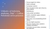 Streso samprata, pasekmės darbuotojų asmenybei ir įveikimo būdai 13 puslapis