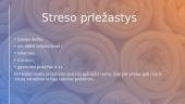 Streso samprata, pasekmės darbuotojų asmenybei ir įveikimo būdai 3 puslapis