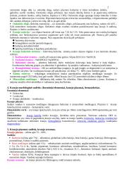 Fiziologijos koliokviumui konspektas 2 puslapis