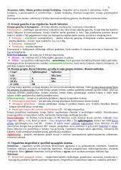 Fiziologijos koliokviumui konspektas 6 puslapis