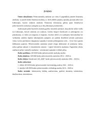 Akcinės bendrovės SEB bankas pelno / nuostolio ataskaitos analizė už 2016-2020 m. 3 puslapis