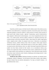 Kontrolės priemonių taikymas finansinių ataskaitų parengimo procese 10 puslapis