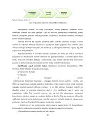 Kontrolės priemonių taikymas finansinių ataskaitų parengimo procese 11 puslapis