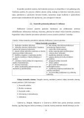 Kontrolės priemonių taikymas finansinių ataskaitų parengimo procese 13 puslapis