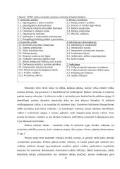 Kontrolės priemonių taikymas finansinių ataskaitų parengimo procese 14 puslapis