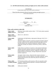 Kontrolės priemonių taikymas finansinių ataskaitų parengimo procese 18 puslapis