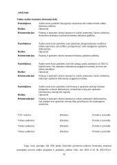Kontrolės priemonių taikymas finansinių ataskaitų parengimo procese 19 puslapis
