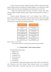 Kontrolės priemonių taikymas finansinių ataskaitų parengimo procese 6 puslapis