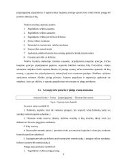 Kontrolės priemonių taikymas finansinių ataskaitų parengimo procese 7 puslapis