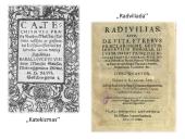 Renesansas Lietuvoje (skaidrės) 13 puslapis