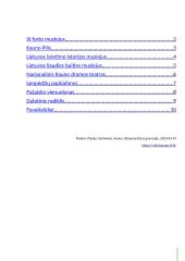 Virtuali ekskursija po  Kauną 11 puslapis