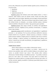 Stipriųjų alkoholinių gėrimų gamybos verslo organizavimo proceso projektavimas 12 puslapis