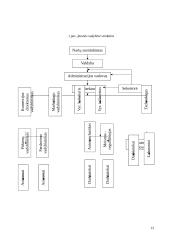 Stipriųjų alkoholinių gėrimų gamybos verslo organizavimo proceso projektavimas 13 puslapis