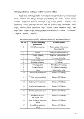 Stipriųjų alkoholinių gėrimų gamybos verslo organizavimo proceso projektavimas 10 puslapis