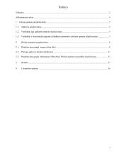 Giliojo ir polinio pamatų projektavimas  2 puslapis