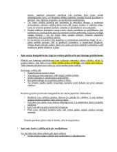 Makiavelis. Konspektas 4 puslapis