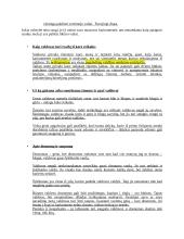 Makiavelis. Konspektas 8 puslapis