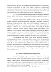 Asmens teisių apsauga vykdymo procese 16 puslapis