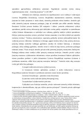 Asmens teisių apsauga vykdymo procese 17 puslapis