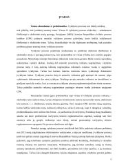 Asmens teisių apsauga vykdymo procese 2 puslapis