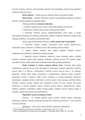 Asmens teisių apsauga vykdymo procese 4 puslapis