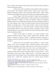 Asmens teisių apsauga vykdymo procese 8 puslapis